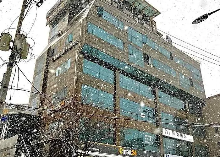 明洞南山森林旅舍 旅馆 *