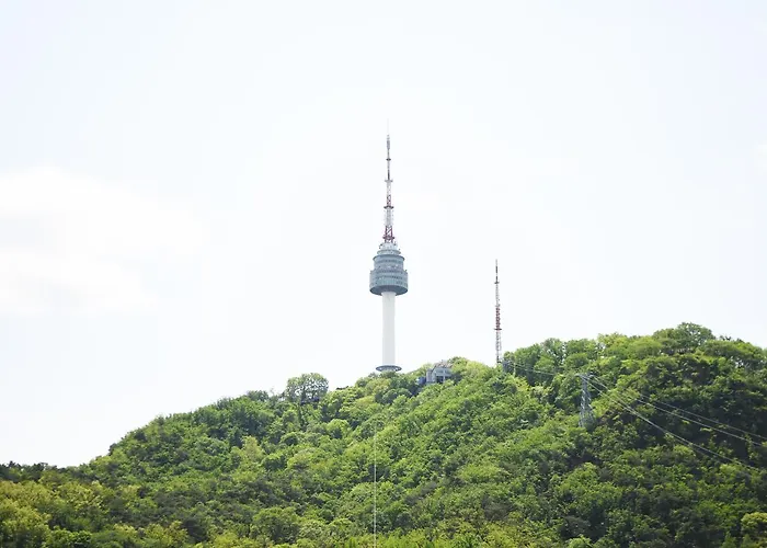 旅馆 明洞南山森林旅舍